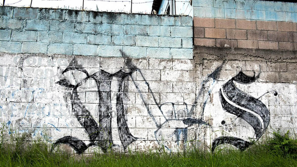 DHS Claims Salvadoran Deportee is an MS-13 Gang Member